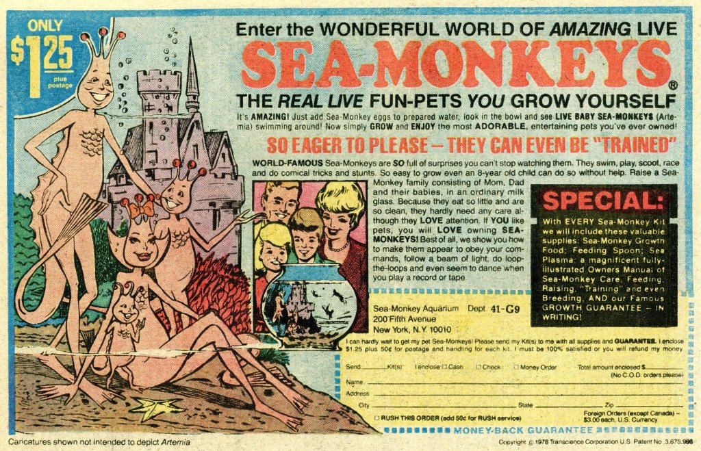 The Secret History Of Sea Monkeys